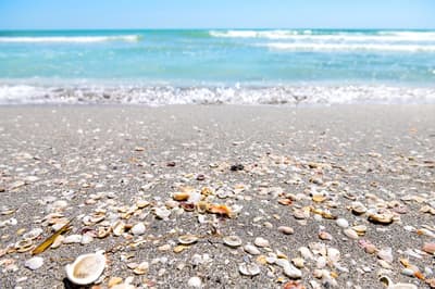 Southwest Florida Beaches