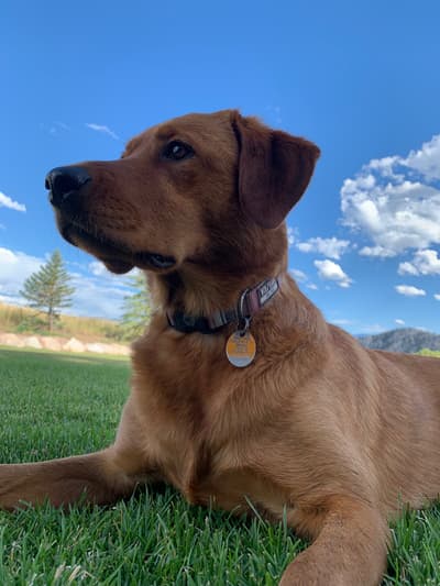 Conall's Church Home - This 5 BR, 4 Bath - "Home Name"