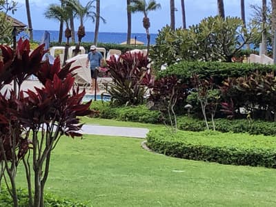 FAMILY 1ST FLOOR Kaanapali Alii Unit 416  CORNER 2bdrm Updated Open Floorplan Family Friendly