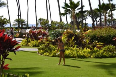 FAMILY 1ST FLOOR Kaanapali Alii Unit 416  CORNER 2bdrm Updated Open Floorplan Family Friendly