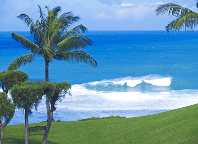 B10: 1 bedroom, 3rd floor, oceanview